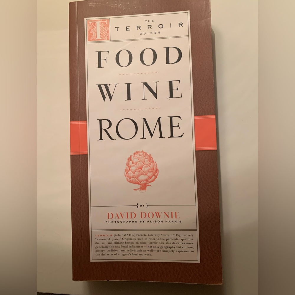 Food, wine, Rome by David Downie LIKE NEW TRAVEL BOOK